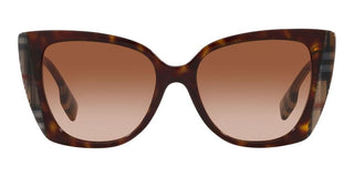 Burberry MERYL BE 4393 women Havana Butterfly Sunglasses