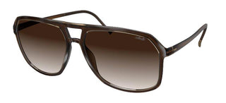 Silhouette MIDTOWN 4080 men Brown Pilot Sunglasses