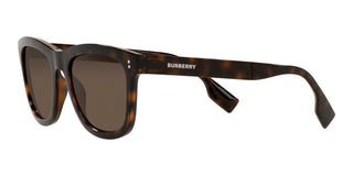 Burberry MILLER BE 4341 men Havana Squared Sunglasses