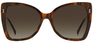 Missoni MIS 0083/S women Havana Butterfly Sunglasses