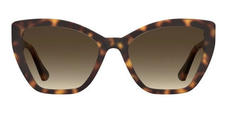 Moschino MOS155/S women Havana Butterfly Sunglasses