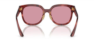 Miu Miu MU 01ZS women Brown Squared Sunglasses