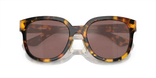 Miu Miu MU 01ZS women Havana Squared Sunglasses