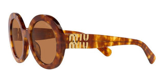 Miu Miu MU 11YS women Havana Oversize Sunglasses