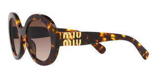 Miu Miu MU 11YS women Havana Oversize Sunglasses