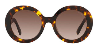 Miu Miu MU 11YS women Havana Oversize Sunglasses