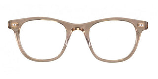 Moscot NOAH unisex Brown Pantos Eyeglasses