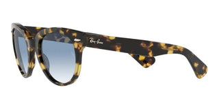 Ray-Ban ORION RB 2199 unisex Havana Round Sunglasses