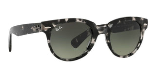 Ray-Ban ORION RB 2199 unisex Grey Round Sunglasses