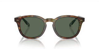 Polo Ralph Lauren PH 4206 men Havana Pantos Sunglasses