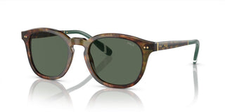 Polo Ralph Lauren PH 4206 men Havana Pantos Sunglasses