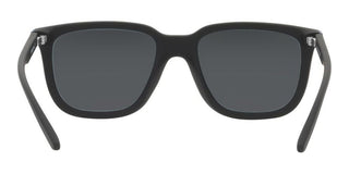 Arnette PLAKA AN 4306 men Black Squared Sunglasses