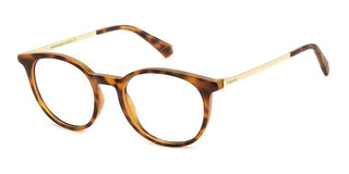 Polaroid PLD D496 unisex Havana Geometric Eyeglasses