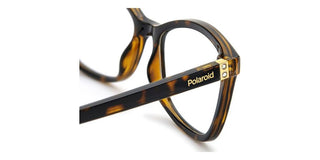 Polaroid PLD D505 unisex Havana Geometric Eyeglasses