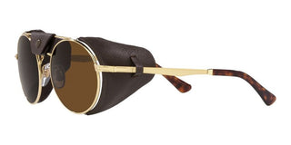 Persol PO 2496SZ unisex Gold Round Sunglasses