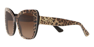 Dolce & Gabbana PRINTED DG 4348 women Brown Butterfly Sunglasses