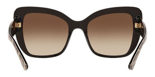 Dolce & Gabbana PRINTED DG 4348 women Brown Butterfly Sunglasses