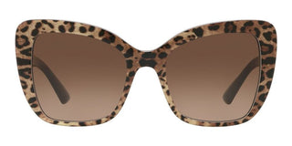 Dolce & Gabbana PRINTED DG 4348 women Brown Butterfly Sunglasses