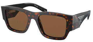 Prada PR 10ZS men Havana Pantos Sunglasses