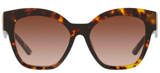 Prada PR 17ZS women Havana Butterfly Sunglasses