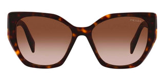 Prada PR 19ZS women Havana Geometric Sunglasses