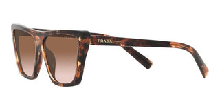 Prada PR 21ZS women Havana Butterfly Sunglasses