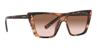 Prada PR 21ZS women Havana Butterfly Sunglasses