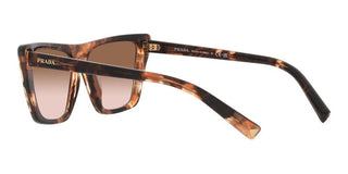 Prada PR 21ZS women Havana Butterfly Sunglasses