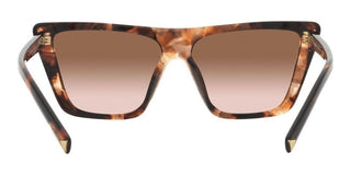 Prada PR 21ZS women Havana Butterfly Sunglasses