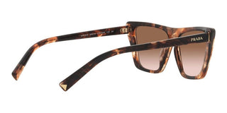 Prada PR 21ZS women Havana Butterfly Sunglasses