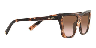 Prada PR 21ZS women Havana Butterfly Sunglasses