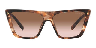 Prada PR 21ZS women Havana Butterfly Sunglasses