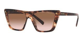 Prada PR 21ZS women Havana Butterfly Sunglasses