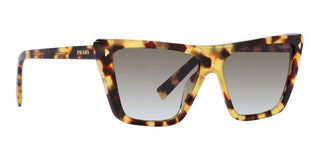 Prada PR 21ZS women Havana Butterfly Sunglasses