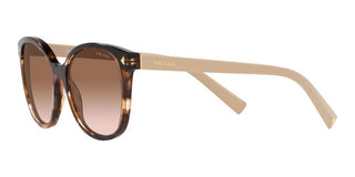 Prada PR 22ZS women Havana Squared Sunglasses