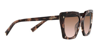 Prada PR 23ZS women Havana Squared Sunglasses