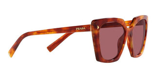 Prada PR 23ZS women Havana Squared Sunglasses