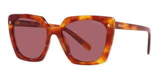 Prada PR 23ZS women Havana Squared Sunglasses