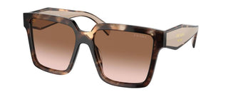 Prada PR 24ZS women Havana Squared Sunglasses