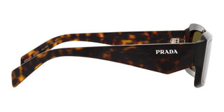 Prada PR 27ZS men Havana Geometric Sunglasses