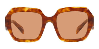 Prada PR 28ZS women Havana Geometric Sunglasses