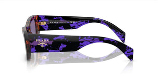 Prada PR A01S unisex Havana Pantos Sunglasses