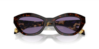 Prada PR A02S women Havana Butterfly Sunglasses