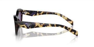 Prada PR A02S women Havana Butterfly Sunglasses