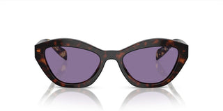 Prada PR A02S women Havana Butterfly Sunglasses