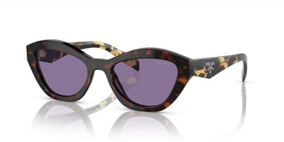 Prada PR A02S women Havana Butterfly Sunglasses