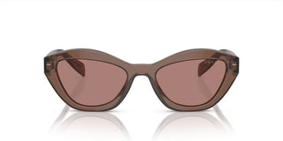 Prada PR A02S women Brown Butterfly Sunglasses