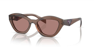 Prada PR A02S women Brown Butterfly Sunglasses