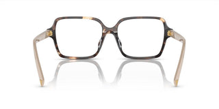 Prada PR A02V women Havana Geometric Eyeglasses