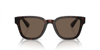 Prada PR A04S men Havana Pantos Sunglasses